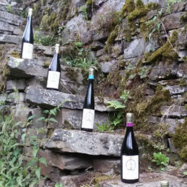 Weinflaschen auf Weinbergtreppe